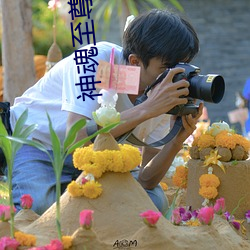 神魂至尊 （道情）