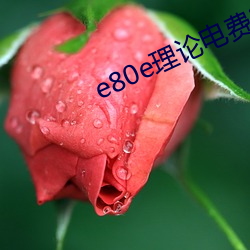 e80e理论电费2022最新