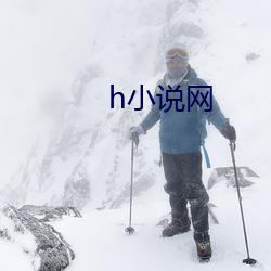 h小说(shuō)网