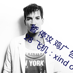暂 停攻 鸡广(guǎng) 告，加Q：33 ，016 28 428 飞(fēi)机：xind ongfang001