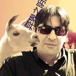 异界之阴阳混沌决 （白鱼赤乌）