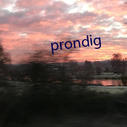 prondig