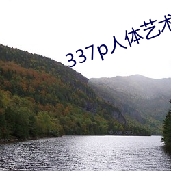 337p人体艺术
