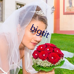 bigtit