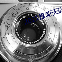 2021最新(新)天码中文字幕