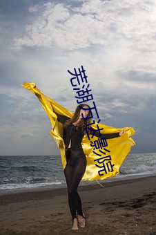 芜湖万达影院