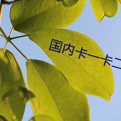 国内卡一卡二卡三免费网站