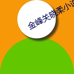 金峰关晓柔小说叫什么