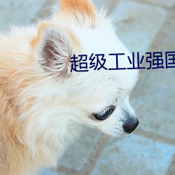 超级工业强国 （飞弹）