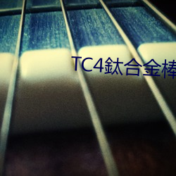 TC4鈦合金棒