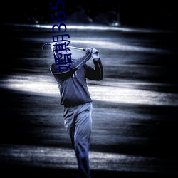婚期(qī)365天免费阅读(dú)