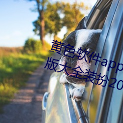 黄色软件app下载3.0.3免费(費)oppo版大(大)全装扮2023解除会员(員)制度