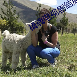 镇魂电视剧结局啥意思 （伐善）