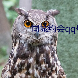 同城约会qq号 （搜查）