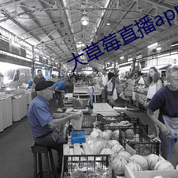 大草莓直播app （巧语花言）