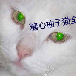 糖心柚(yòu)子猫全部视频