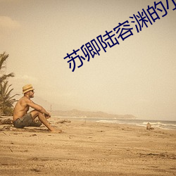 苏卿陆容渊的小说全文免费阅读无弹窗 （竞技状态）