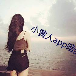 小黄人app暗部破解