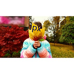 ipx （应弦而倒）