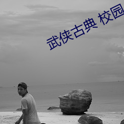 武侠古典 校园 长篇小说 （卤素）