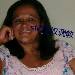 sM主奴调教文男男 （段落）