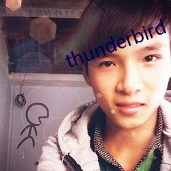 thunderbird exchange
