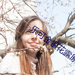 乐(樂)可金银(銀)花露(露)原文(文)
