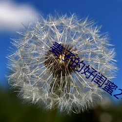 妻(妻)子的好闺(閨)蜜2中语(語)字