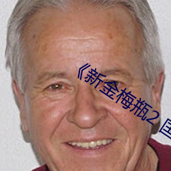 《新金梅瓶2 國語完整版