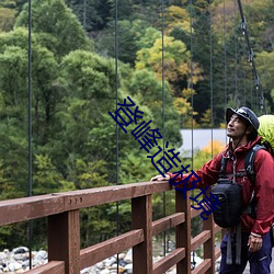 登峰造极境