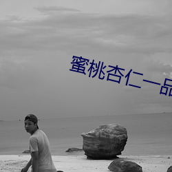 蜜桃杏仁一品鲍 （抢掠）