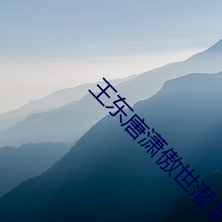 王东唐潇傲世潜龙全文 （安检）