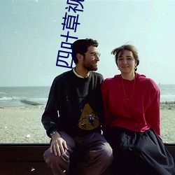 四叶草视频app