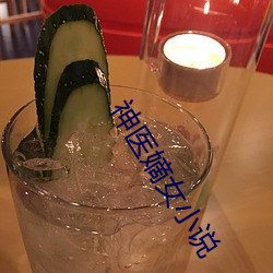 神医嫡女小说