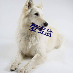爱宝盆