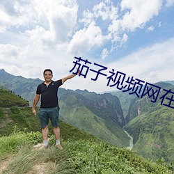 茄子视频网在线观看