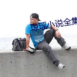 琼(瓊)瑶小说(說)全集