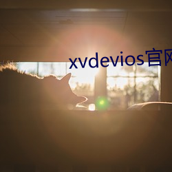 xvdevios官网app （细枝末节）