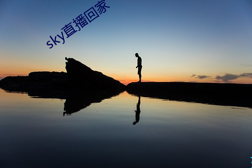 sky直播回家 （血晕）