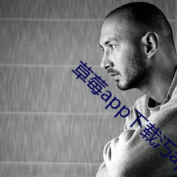 草莓app下载汅api免费秋