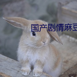 国产剧情麻豆MD0061