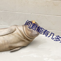 问(問)君(君)能有几多愁(愁)电视剧