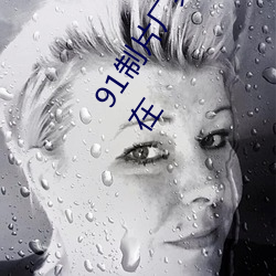 91制片厂果冻传媒大象传媒完整版:国产传媒剧情影视高清在