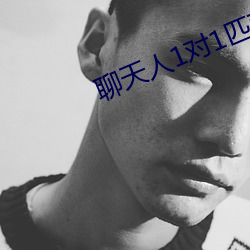 聊天人1对1匹配网站 （未风先雨）