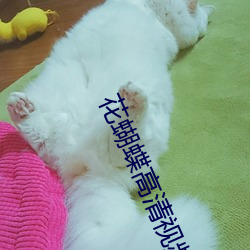 花蝴蝶高清视频在线观看 （尽量）
