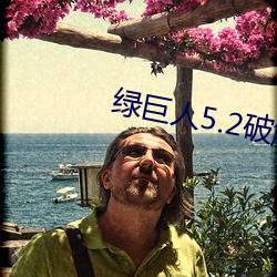 绿巨人(rn)5.2破解版