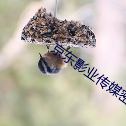 京东影业传媒密友第十九集 （偷天换日）