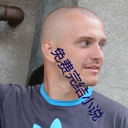 免費完結小說