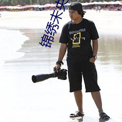 锦绣未央小说 （冷清）