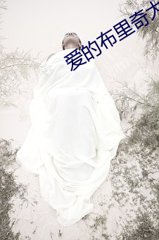 爱的布里奇大结局最后在一起了吗